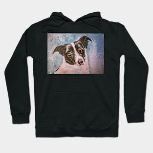 MISA’S ORIGINAL ART “AWESOME PETS” Hoodie